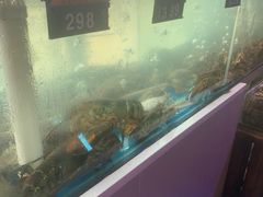 水产区-四海蒸鲜蒸汽海鲜自助(北戴河店)