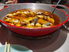 -雲蜀龙阁·金牌水煮鱼(方庄店)