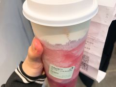 多肉石榴2.0-喜茶(深圳福田星河COCO Park店)