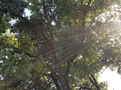 -兴福老面馆(寺路街店)