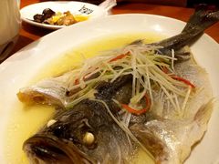 -辣子鸡背(九龙山店)