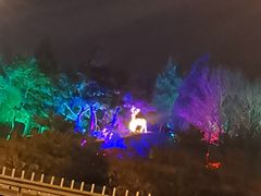 -鬼笑石后山停车场