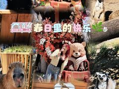 -北京野生动物园