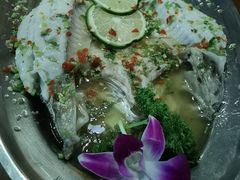 -荷花泰菜(东方新天地店)