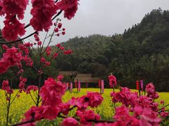 -常德桃花源景区