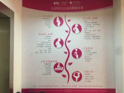 -爱尔乐美孕产瑜伽·普拉提