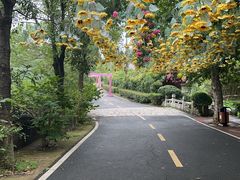 -张公山寨景区