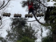-芦仙山景区-飞越丛林探险乐园