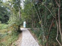 -汤山温泉房车营地 茶温泉