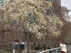 -西湖文化广场