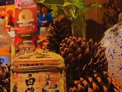 -春草居酒屋·晴子の店