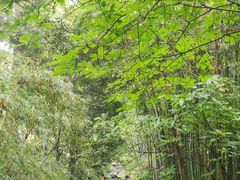 -成都杜甫草堂博物馆