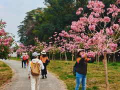 -星湖旅游景区七星岩
