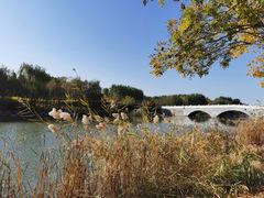-马家湾湿地公园