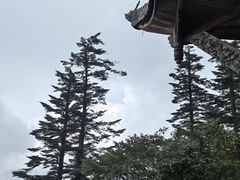 -峨眉山风景名胜区
