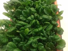 -金陵之星大酒店·中餐厅