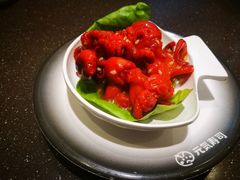 -元气寿司(东方宝泰店)