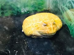 -上海大自然野生昆虫馆(东方明珠·爬宠昆虫探索中心)