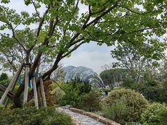 -上海植物园-4号门售票处