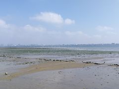 -霞山观海长廊
