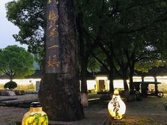 -溪口-滕头旅游景区