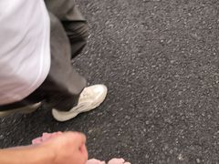 -珠江夜游省总码头