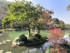 -云溪植物园