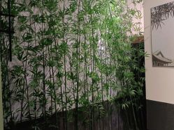 -盘子女人坊古装写真摄影(天津总店)