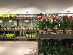 -鹿岛会员店 (龙湖三千集天街店)