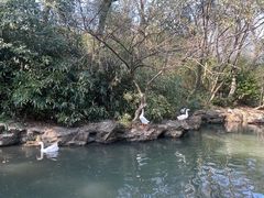 -兰亭风景区