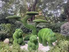 -成都欢乐谷