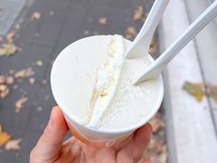 香蕉卡曼橘-Dip in Gelato(富民路店)