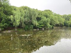 -新洲生态园
