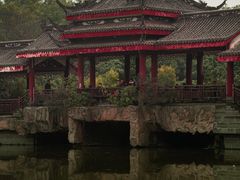 -张坝桂圆林公园