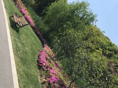 -昆山城市生态森林公园