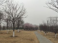-太阳宫公园
