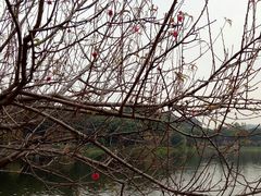 -水濂山水库景点停车场