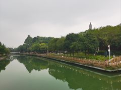 -顺峰山公园