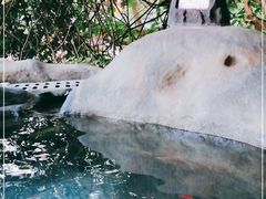 -河源客天下-温泉小镇
