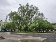 -寿山福海养老服务中心(石景山院)