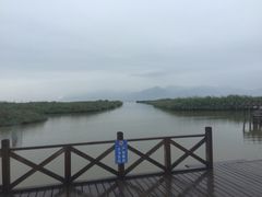 -哈素海