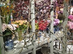 -淮国旧H22·中古店