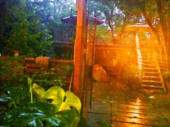 门面-谷咖啡·鲜花绿植花园餐厅
