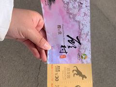 -自然谷恐龙园