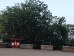 -大蜀山国家森林公园