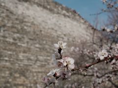 -北京明城墙遗址公园