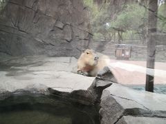 -宁波野生动物园