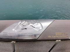 -星光大道