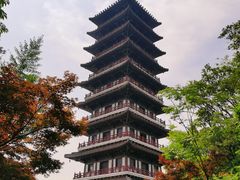 -宜兴龙背山森林公园