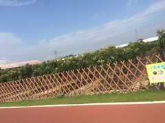 -迪茵湖田家舍生态农场